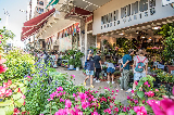 逛不膩的香港主題購物街，給你真實的香港本地體驗！