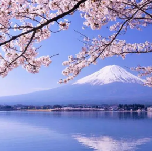 富士山伊豆半島修善寺二日遊