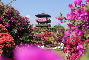 惠州千花洲生態景區門票