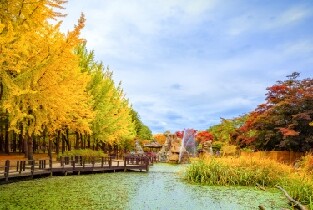 韓國Elysian伊利希安江村滑雪度假村+南怡島一日遊(首爾出發)