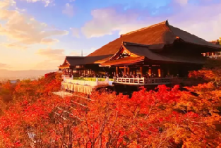 京都古城韻味盡賞一日遊（附贈抹茶體驗）