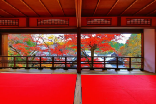 京都柳谷觀音楊谷寺&嵐山清水寺一日遊