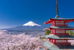 東京富士山忍野八海奧萊溫泉一日遊