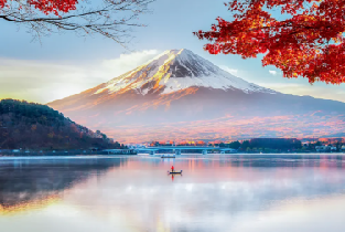 富士山B線：東京富士山雙湖溫泉一日遊