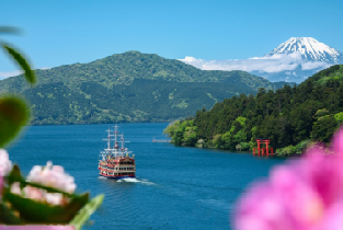 富士山箱根鐮倉二日遊