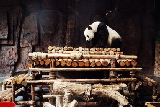 東莞香市動物園