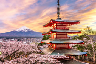 富士山伊豆深景二日遊