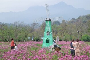 清遠田野綠世界觀光票