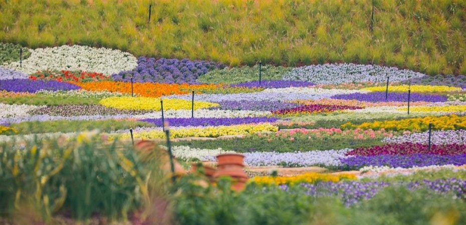 香遇百花園10.jpg