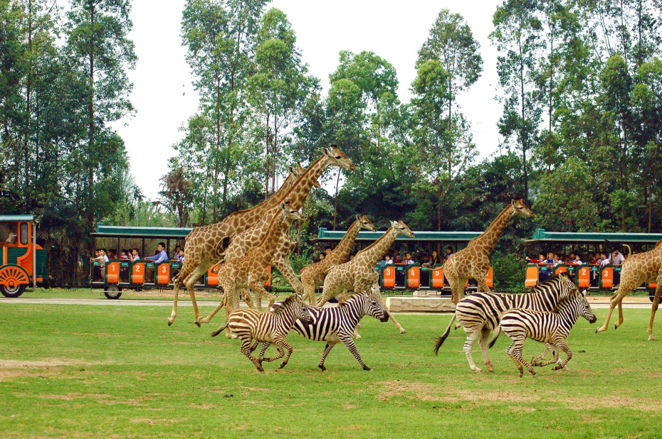 野生動物園.jpg