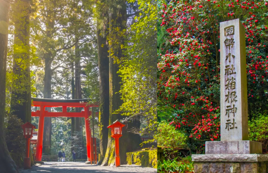 箱根神社3.png